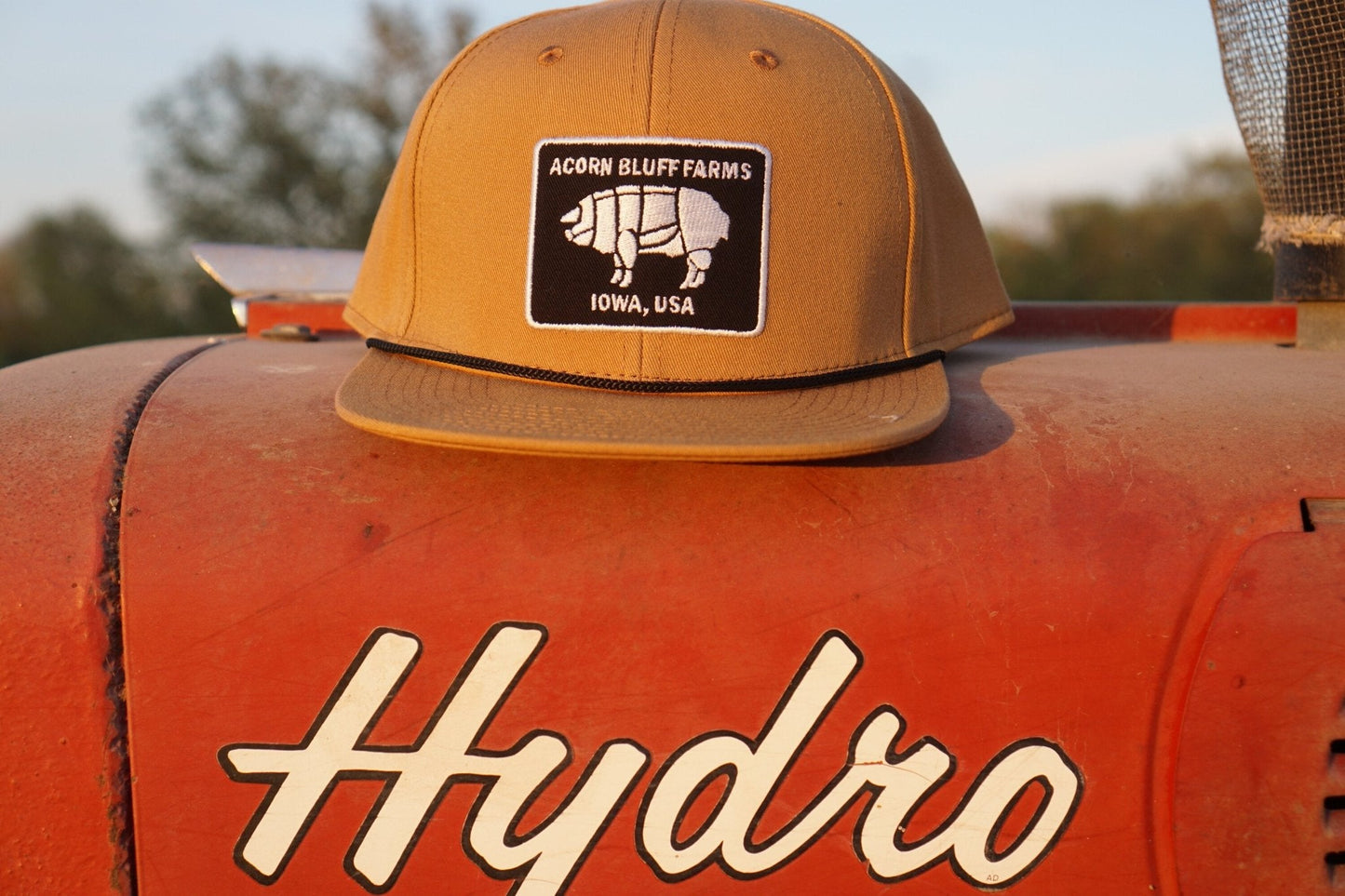 Solid Snapback Hat - Acorn Bluff Farms