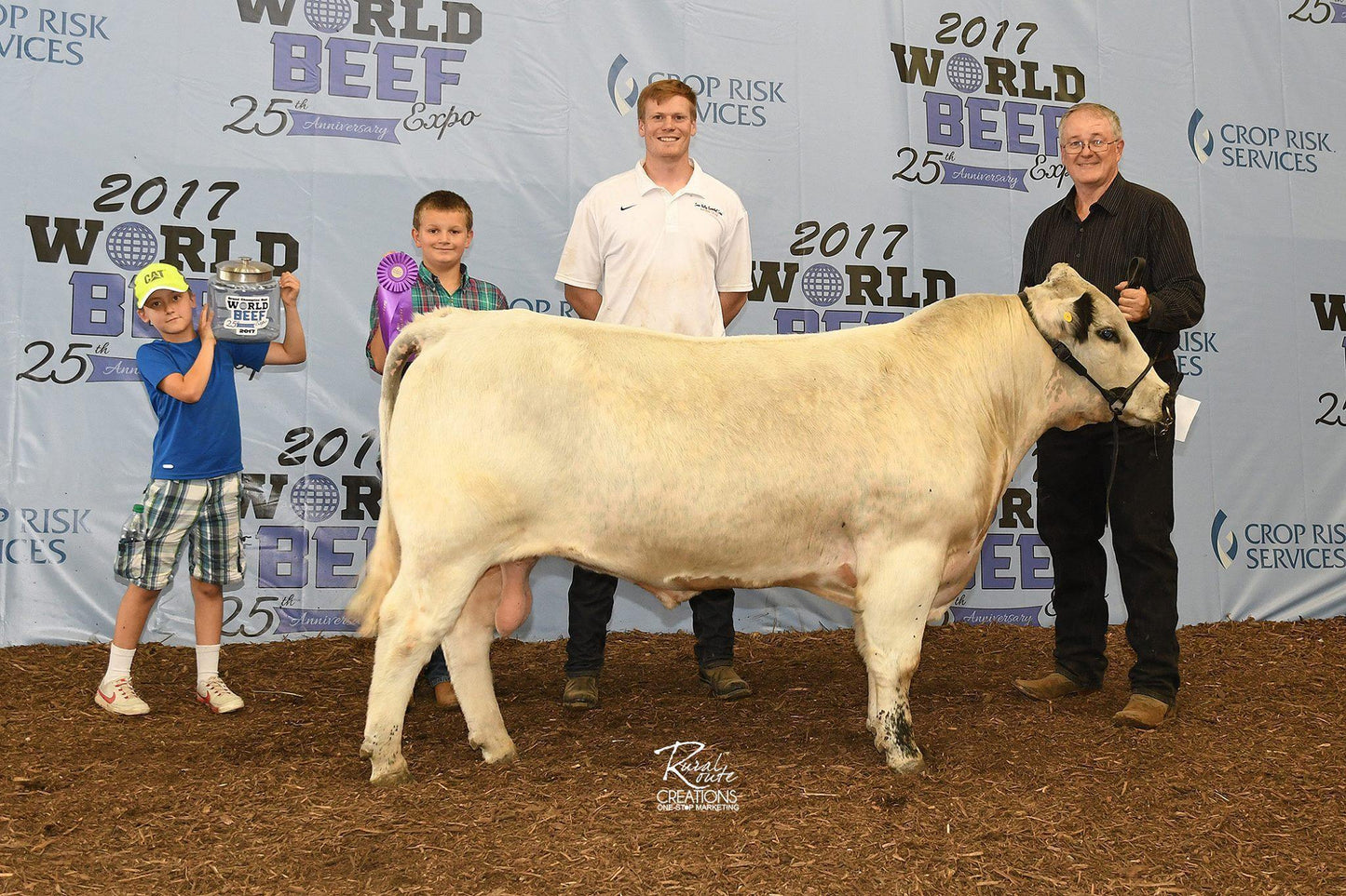 Thistledown Farms-Our Sister Farm, Raising American British White Park Cattle - Acorn Bluff Farms